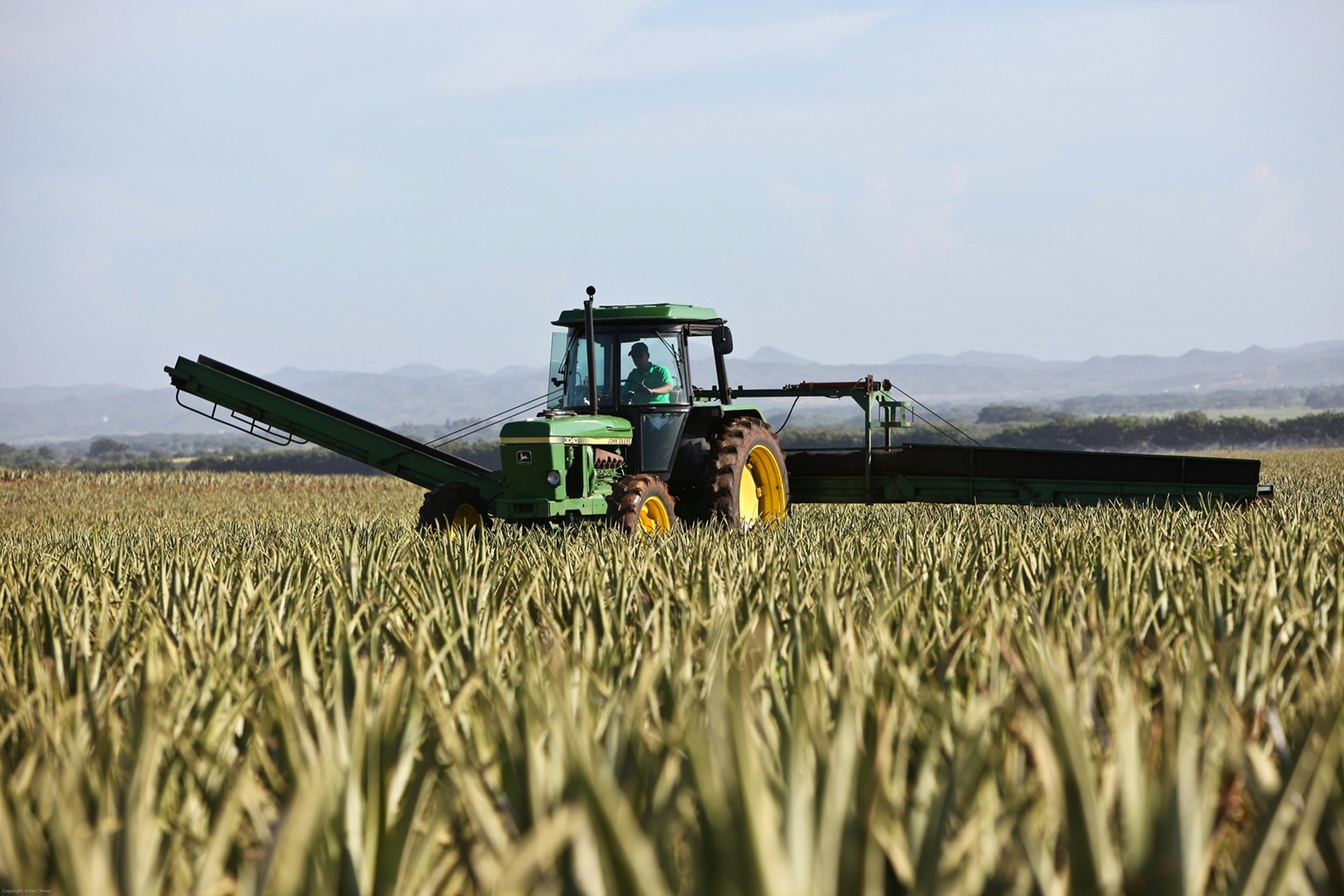 El Govern i l'ICF reforcen el suport al sector agroalimentari davant el canvi climàtic i amplien els préstecs Agroliquiditat fins als 40 M€