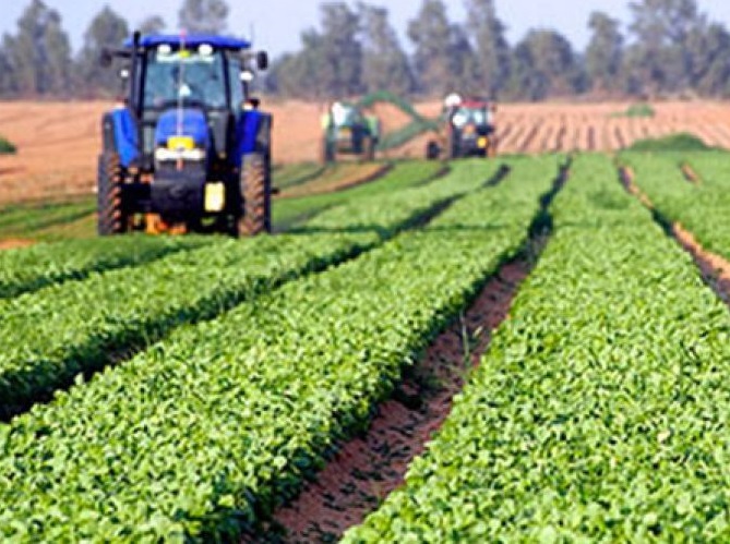 El ICF y el Departamento de Agricultura, Ganadería, Pesca y Alimentación firman un convenio de colaboración en materia de préstamos para impulsar la implantación de proyectos Leader