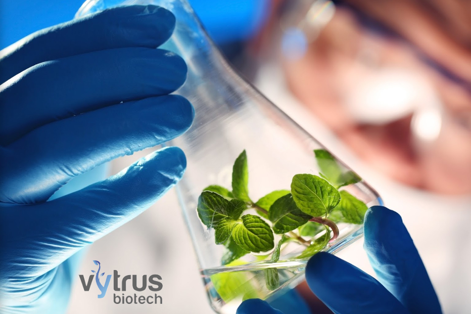 El fondo ICF Venture Tech II invierte 0,5 M€  en la biotecnológica Vytrus Biotech