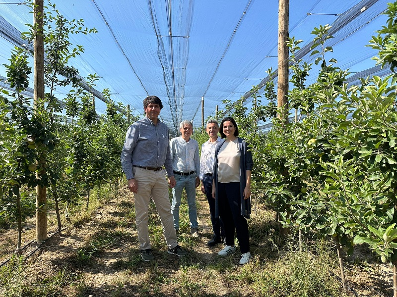 L’ICF finança amb un milió d’euros una reconversió varietal al Pla d’Urgell per adaptar els conreus a la sequera