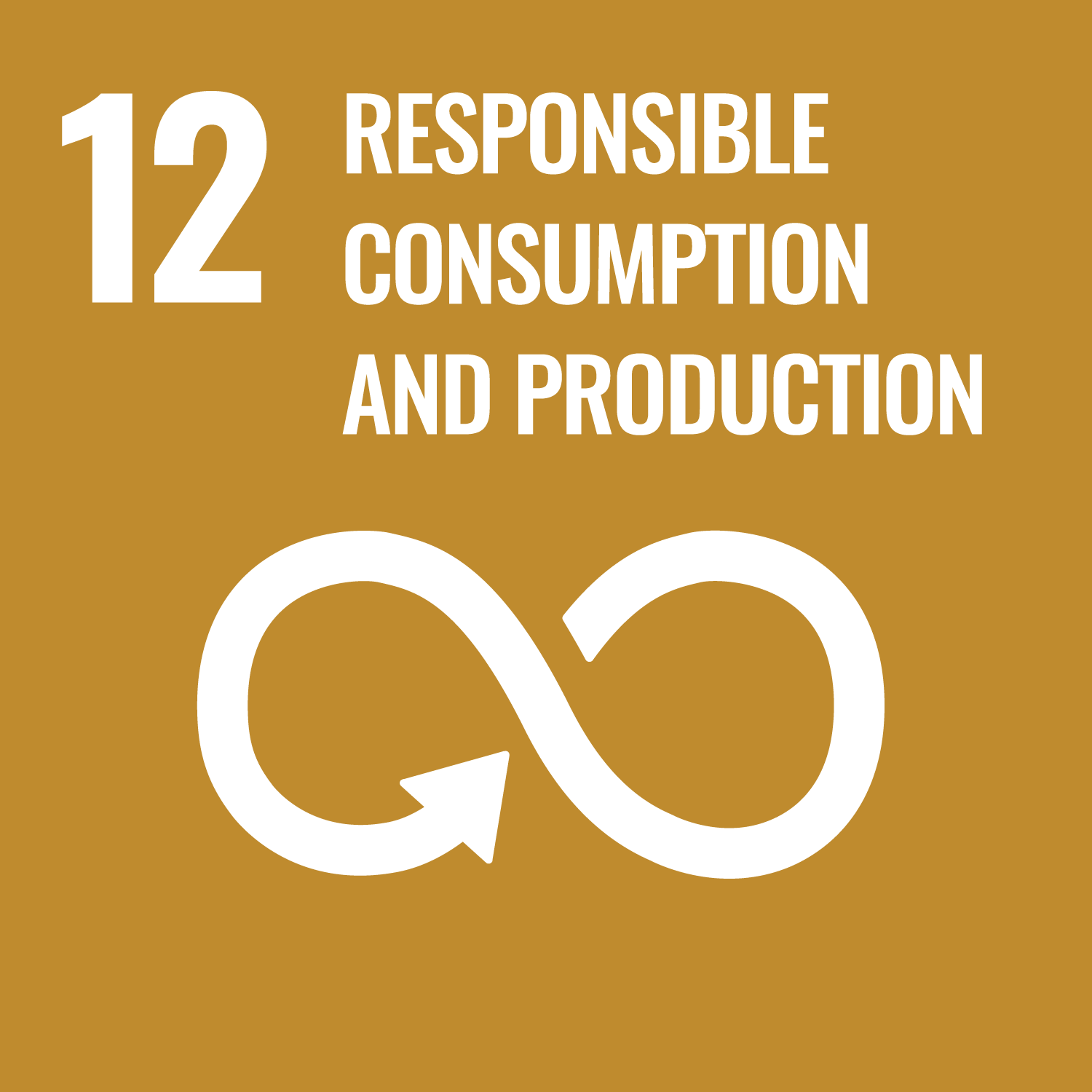 SDG 12. Responsible consumption ans production
