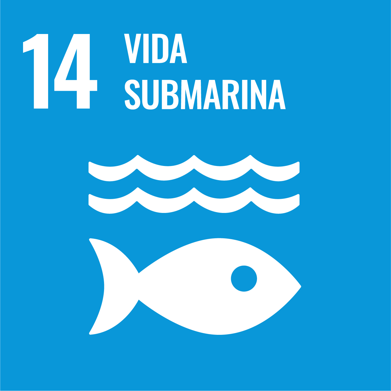 ODS 14. Vida submarina