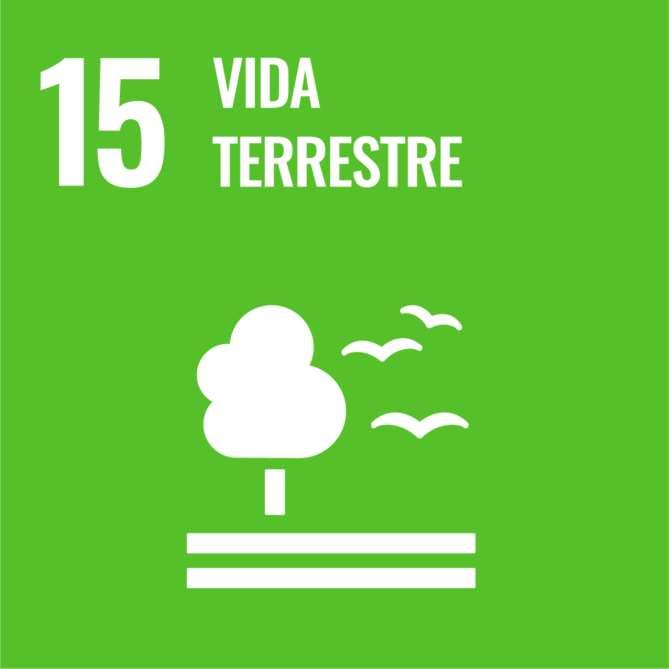 ODS 15. Vida terrestre