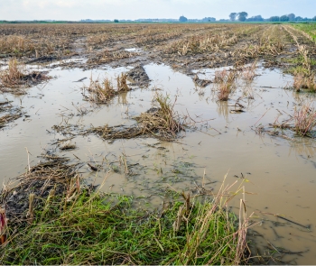 Préstecs per fer front a emergències climàtiques