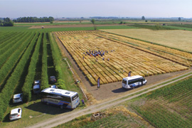 The fund ICF Capital Expansió II invests 3 million euros in Semillas Batlle