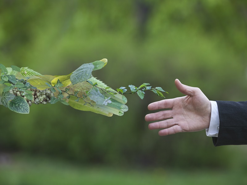 Principios de inversión responsable